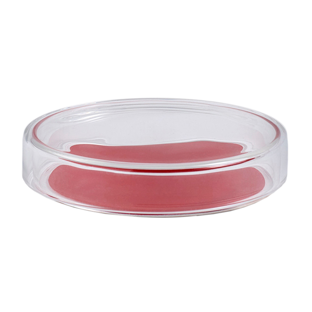 Bits and Bobs Dots Glasaufbewahrung rot Hay | HAY 505673
